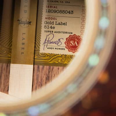 Taylor Gold Label 814e Super Auditorium Acoustic/Electric Guitar - Natural Top with Hardshell Case image 13