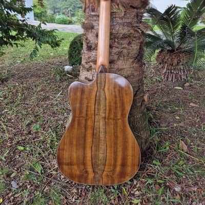 Made to order Handmade Guitar Crossover Solid Woods Brazil French Polish image 14