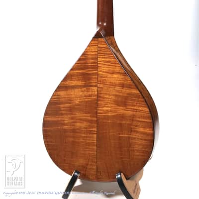 C.F.Martin Style-AK 1920[Pre-Owned] image 4