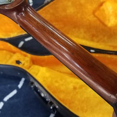 Vega Lansing Special Vintage Bowlback Mandolin c.1903-1910 image 7