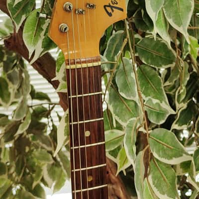 Fender Musicmaster Vintage Electric Guitar with Rosewood Fretboard 1976 - Olympic White image 7