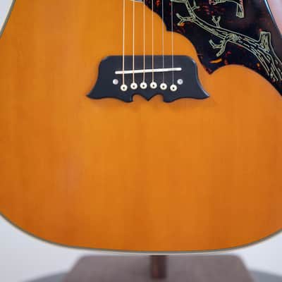 2024 Epiphone FT120 Masterbilt Excellente Acoustic - in Natural image 11