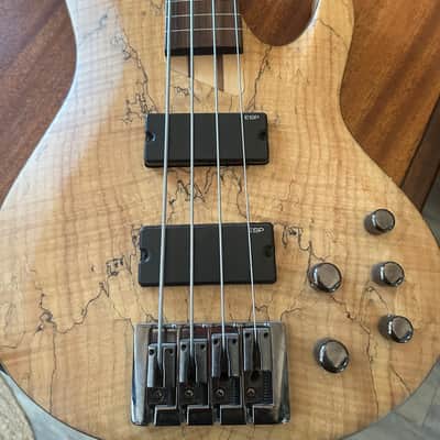 ESP LTD B-204SM 2011 - 2018 - Natural Satin image 1