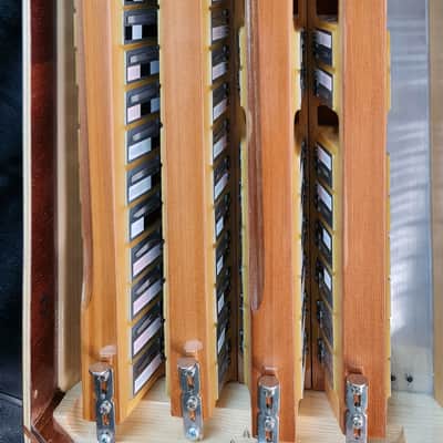 Accordion Harmonika Zupan Alpe IV 96 Bass with Cagnoni reeds image 13