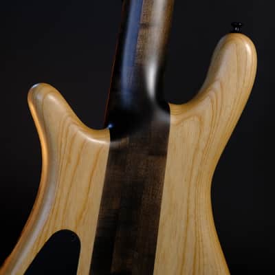 Spector (USA) NS-5 Neck-Thru 2024 - Buckeye Burl image 8