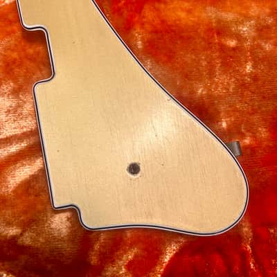 Fender Coronado 1966 - Pickguard image 2
