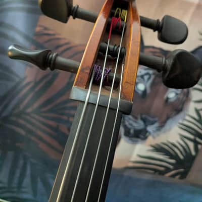 Cello Samuel Eastman VC100 4/4 size 1999 image 3