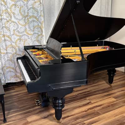 Steinway & Sons Art-Case Model C 1877 - Ebony Satin image 1