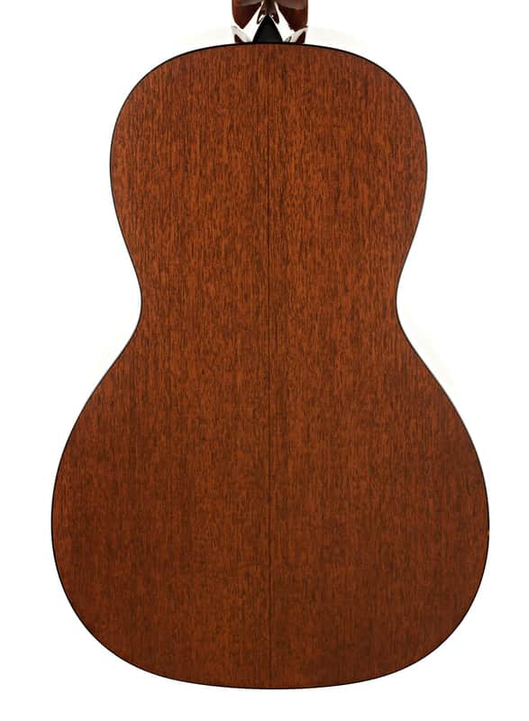 Immagine Collings Parlor 1 T - 3
