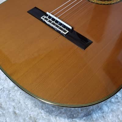 Takamine No.5 image 7