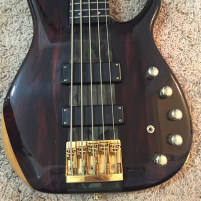 Modulus Quantum 5 TBX w/ Cocobolo top, Neck-through image 3