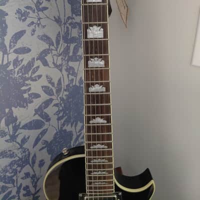 Immagine Epiphone Custom Nighthawk 2011-2013 - Gloss - 5