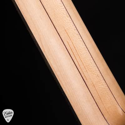 Alembic Skylark - Zebrawood image 10