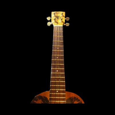 Jazz Hat Music Solid Koa Tenor Ukulele - Koala Bear - SCJ Jazz Hat #119 2025 - French Polish Gloss image 8