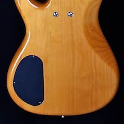 Alvarez Villain Series 5-String bass 1996 image 5