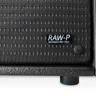 RED SOUND LG12-SE GR/FR Active Speaker Cabinet Black image 8