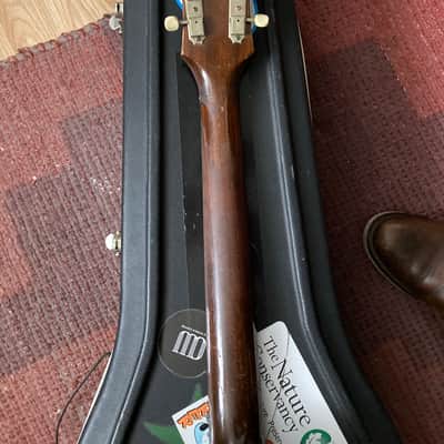 Epiphone FT-45n Cortez 1965 image 6