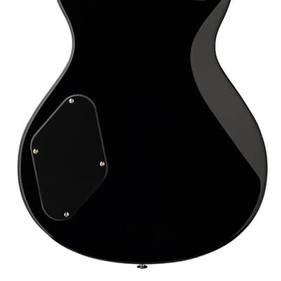 PRS SE Zach Myers Elderberry Burst w/bag image 3