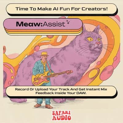 Meaw : Assist image 5