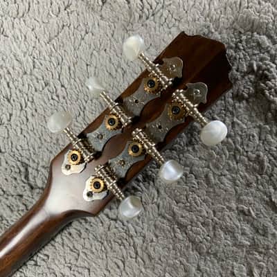 Pegasus Trichordo Bouzouki 2019 Natural image 4