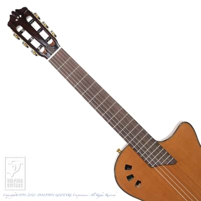 CORDOBA STAGE TRADITIONAL CD image 6