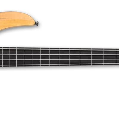 ESP LTD B-204SM Fretless Bass in Natural Satin image 3