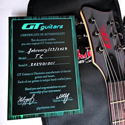 (made in Ukraine) GT Guitars TC 6-string '2024 Graphite image 3