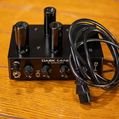 D. Kowalski Dark Gene .5W Mini Tube Amp - Used image 8