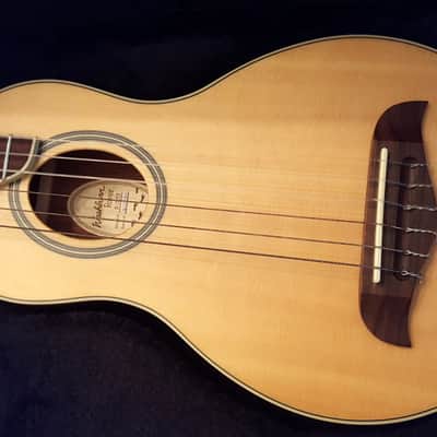 Washburn RO20 Nylon String Rover Travel Guitar - RARE - image 3