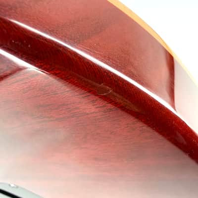 2016 PRS Limited Edition Custom 22 – Autumn Sky image 16