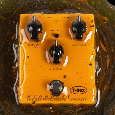 T-Rex Mudhoney image 6