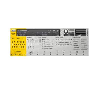 Spitfire Chamber Strings Professional 16 Players Kontakt (Activation Card) image 2