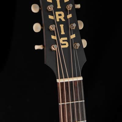 Iris Guitar Company DF Natural image 10