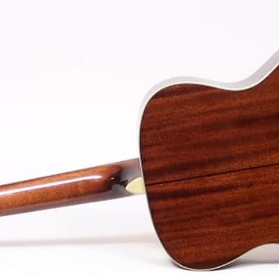 Recording King RO-16 Classic Series Acoustic Guitar Excellent! image 7