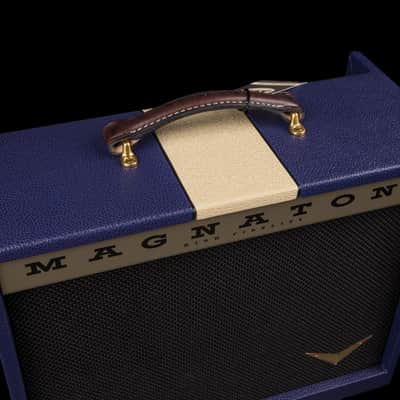 Magnatone Eddie's Exclusive Starlite 1x10 Combo w/Reverb - Plum & Vanilla Bronco #9124 image 3