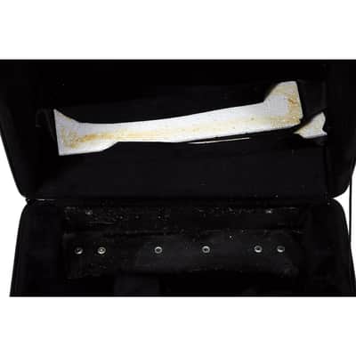 SofiaMari NAC-3412 Trolly Accordion Case with Telescopic Handle Regular image 4