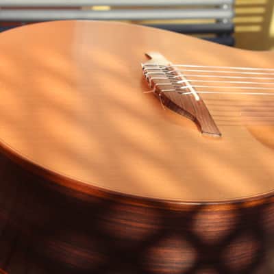Lowden S25j 2020 - Nylon image 10