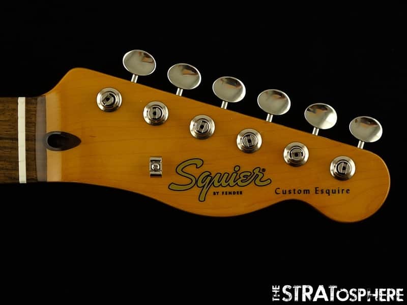 Fender Fender