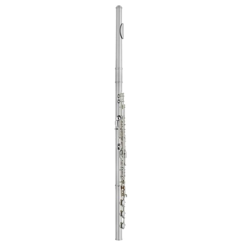 Haynes Amadeus AF780-BO C#