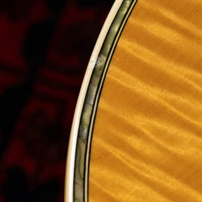 1978 Greco EGC Order Made, Les Paul Custom, Semi-Hollow, Chambered, Non-Catalog image 15