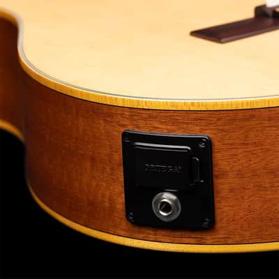 Ortega Family Series Thinline Acoustic-Electric Left-Handed Nylon Classical 6-String Guitar w/ Bag image 11