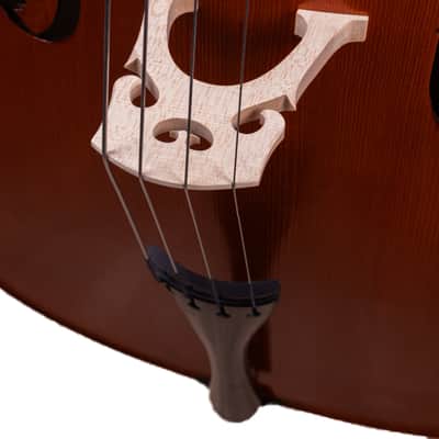 Great Stradivari Cello 4/4 from Flamed Maple - Hand-Made in Romania 2025 #59 image 5