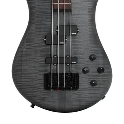 Spector SXEURO4LXMBKS Electric Bass Guitar, EuroLX, 4-String, Active, Black Stain Ma tte image 3