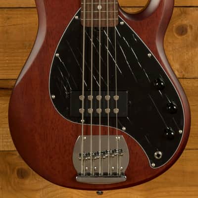 Sterling RAY5 SUB Series StingRay 5 Bass - Walnut Satin image 3