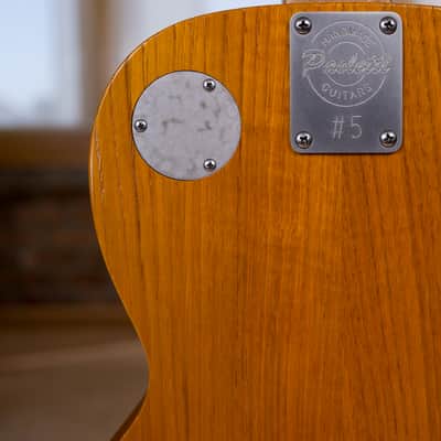 Lyon & Healy Electric Parlor by Paoletti - 160 Anniversary Limited Edition #5 image 10