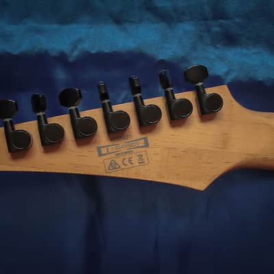 Ibanez RG7421 image 10