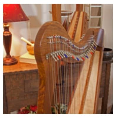 Roosebeck HMNA5CSP | Minstrel Harp 29-String, Chelby Levers Sheesham 5 Panel with Pedestal image 6