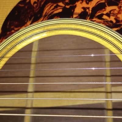 Martin Custom Shop D-35 Madagascar RW/Alpine Moon Spruce/Cocobolo CW 2012 - Superb Tone, Only 50 Made Ever, FINAL SALE The Best!! image 22