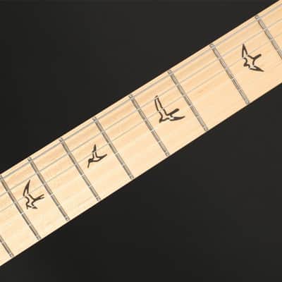 PRS Silver Sky John Mayer Signature, Maple in Polar Blue #0346215 image 5