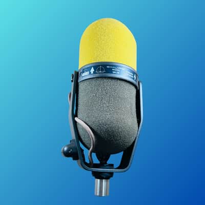 Shure SM5B image 1